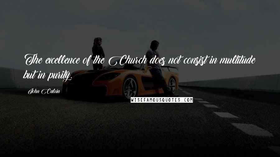 John Calvin Quotes: The excellence of the Church does not consist in multitude but in purity.