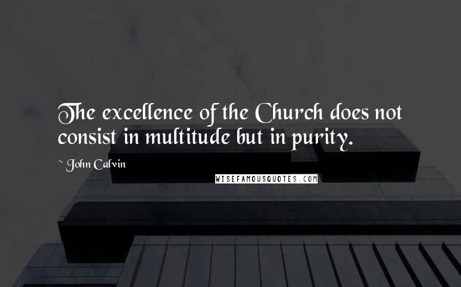 John Calvin Quotes: The excellence of the Church does not consist in multitude but in purity.