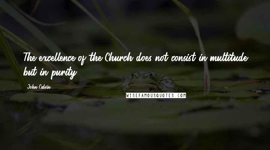 John Calvin Quotes: The excellence of the Church does not consist in multitude but in purity.