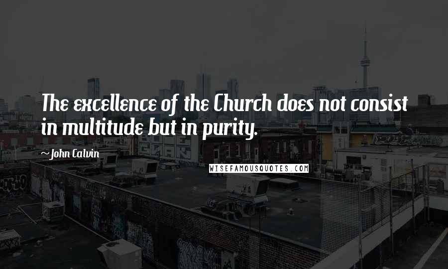 John Calvin Quotes: The excellence of the Church does not consist in multitude but in purity.
