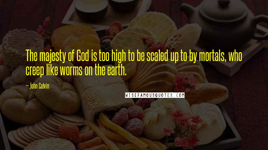 John Calvin Quotes: The majesty of God is too high to be scaled up to by mortals, who creep like worms on the earth.
