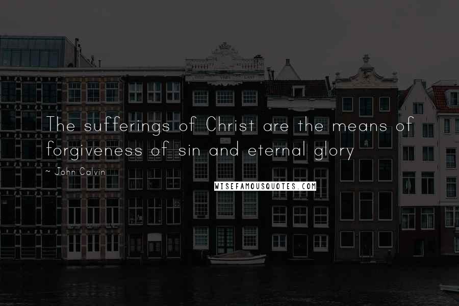 John Calvin Quotes: The sufferings of Christ are the means of forgiveness of sin and eternal glory