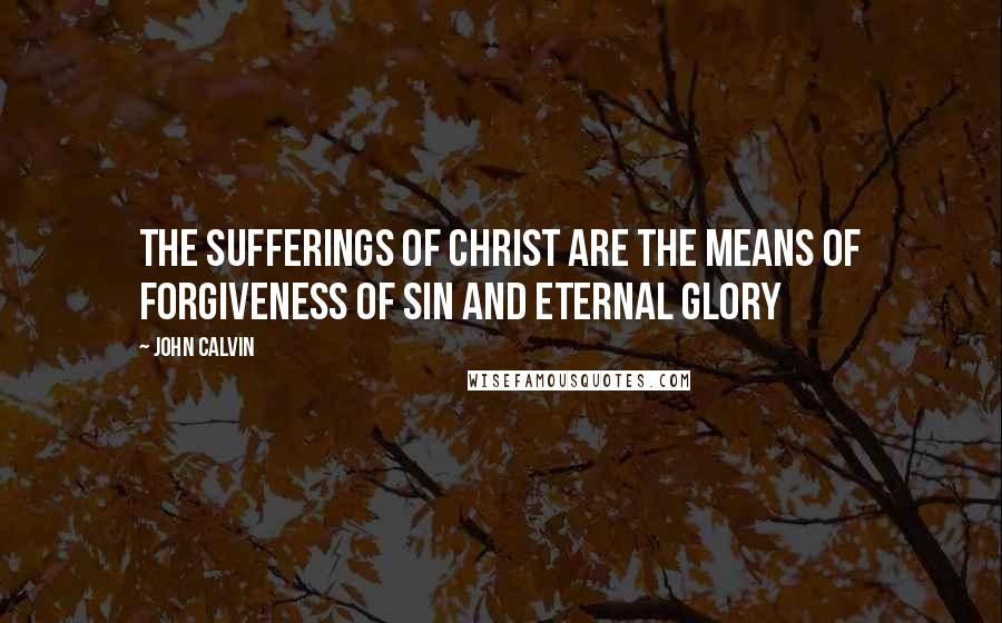 John Calvin Quotes: The sufferings of Christ are the means of forgiveness of sin and eternal glory
