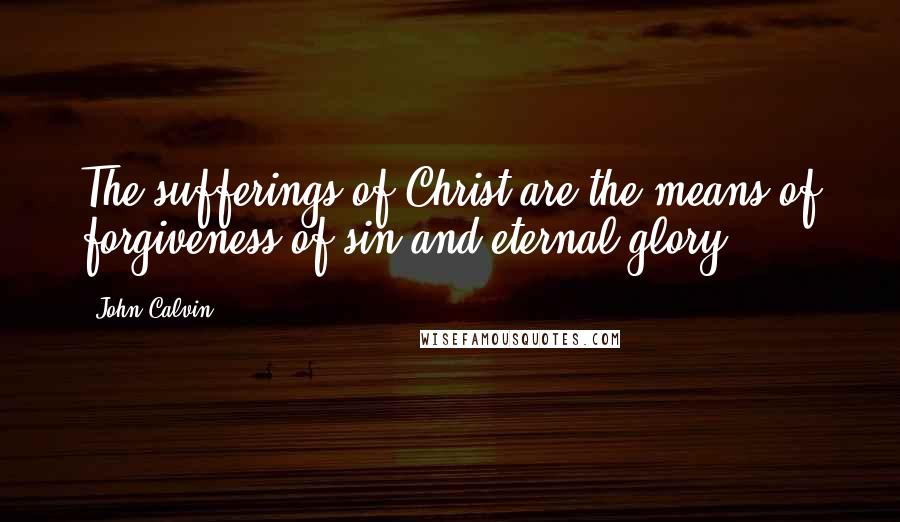 John Calvin Quotes: The sufferings of Christ are the means of forgiveness of sin and eternal glory