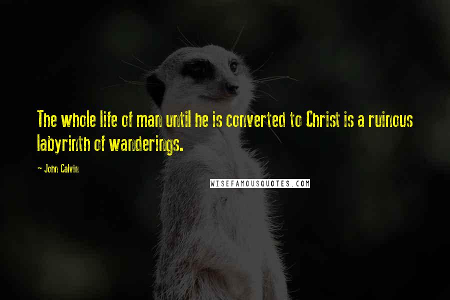 John Calvin Quotes: The whole life of man until he is converted to Christ is a ruinous labyrinth of wanderings.