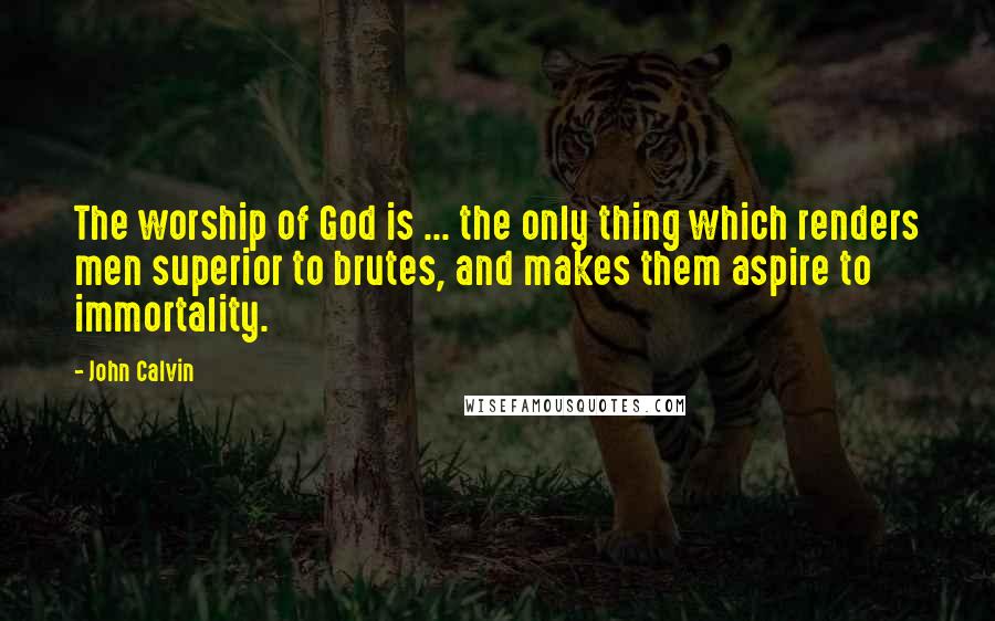 John Calvin Quotes: The worship of God is ... the only thing which renders men superior to brutes, and makes them aspire to immortality.