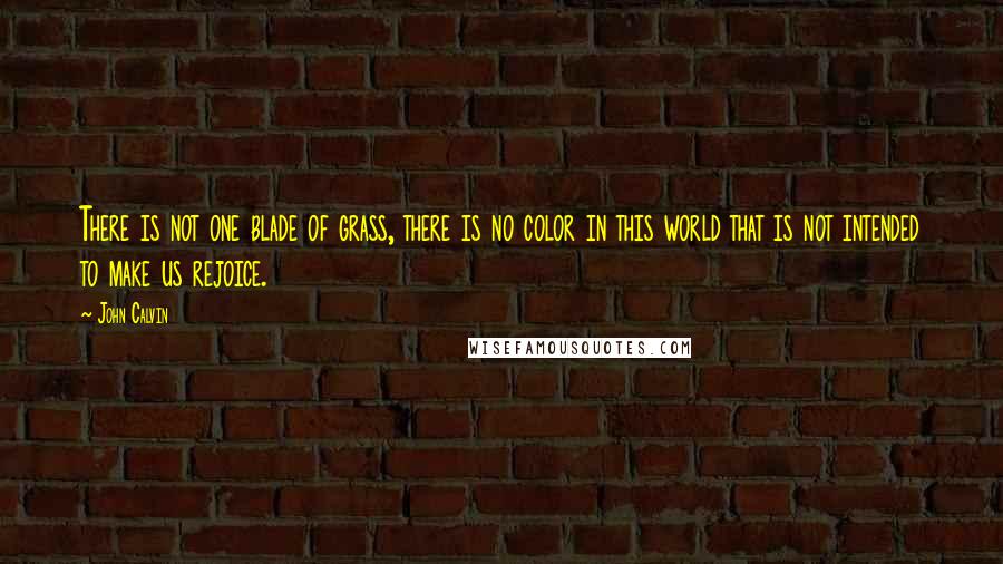 John Calvin Quotes: There is not one blade of grass, there is no color in this world that is not intended to make us rejoice.