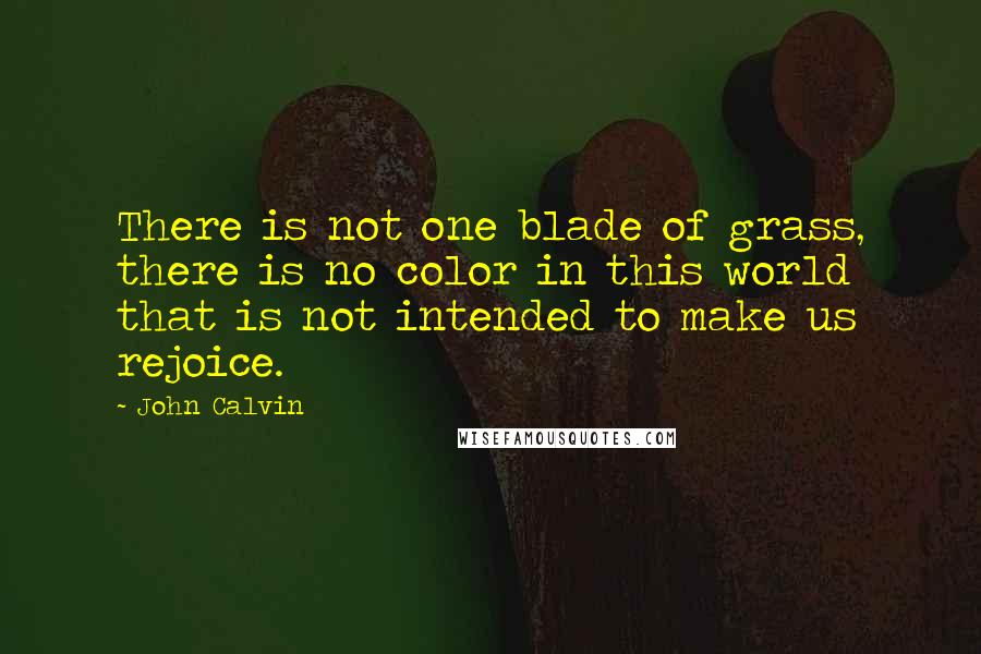 John Calvin Quotes: There is not one blade of grass, there is no color in this world that is not intended to make us rejoice.