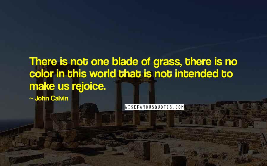 John Calvin Quotes: There is not one blade of grass, there is no color in this world that is not intended to make us rejoice.