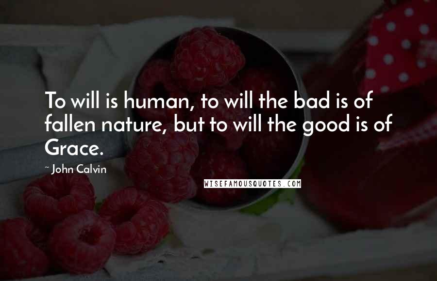 John Calvin Quotes: To will is human, to will the bad is of fallen nature, but to will the good is of Grace.