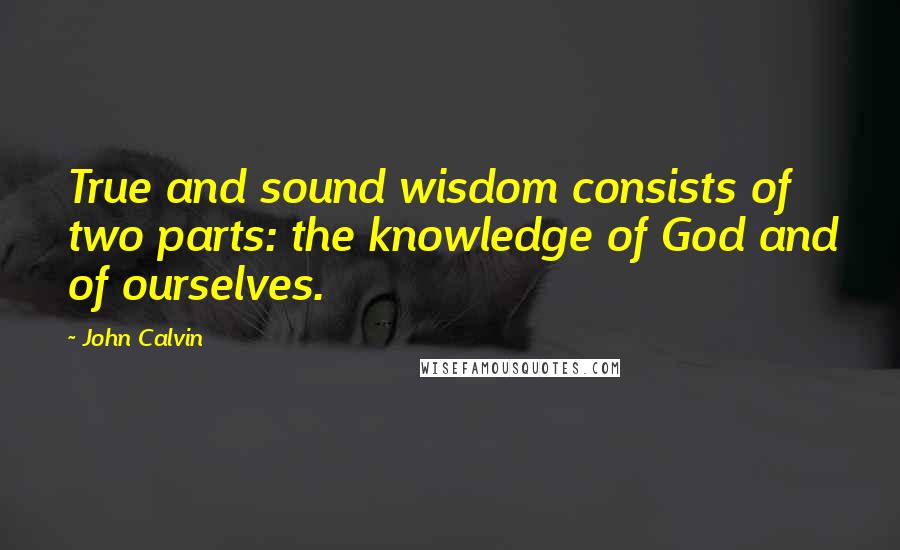 John Calvin Quotes: True and sound wisdom consists of two parts: the knowledge of God and of ourselves.