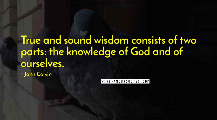 John Calvin Quotes: True and sound wisdom consists of two parts: the knowledge of God and of ourselves.