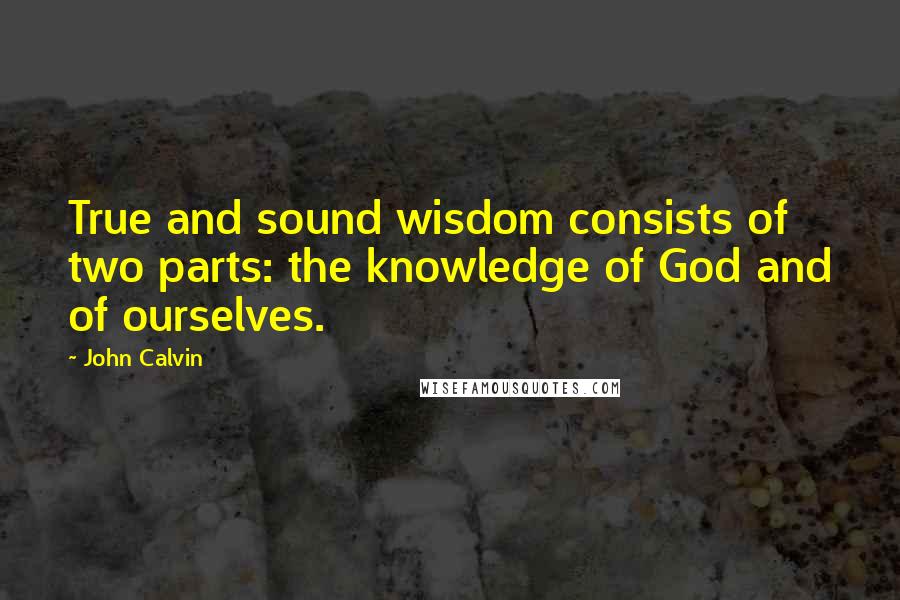 John Calvin Quotes: True and sound wisdom consists of two parts: the knowledge of God and of ourselves.