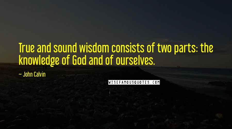 John Calvin Quotes: True and sound wisdom consists of two parts: the knowledge of God and of ourselves.