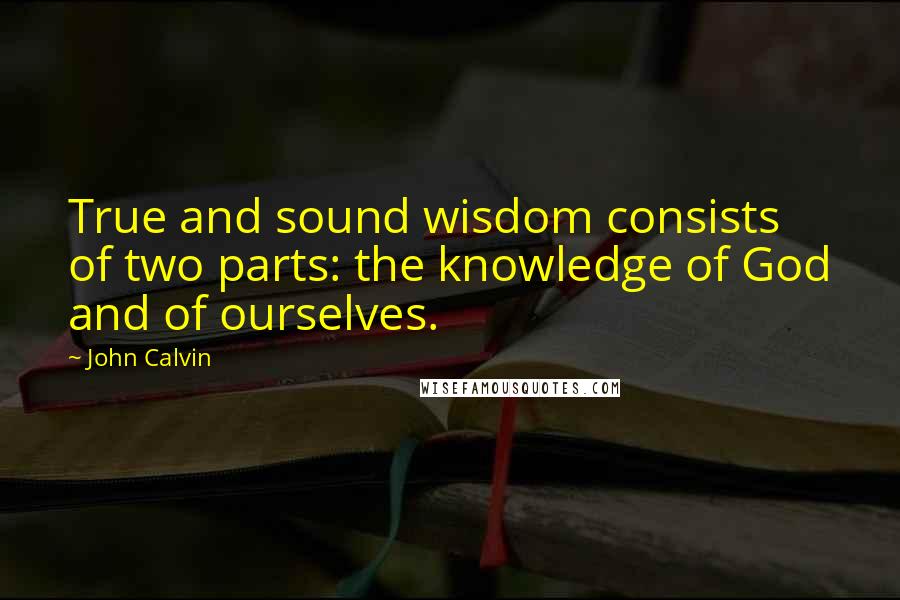 John Calvin Quotes: True and sound wisdom consists of two parts: the knowledge of God and of ourselves.