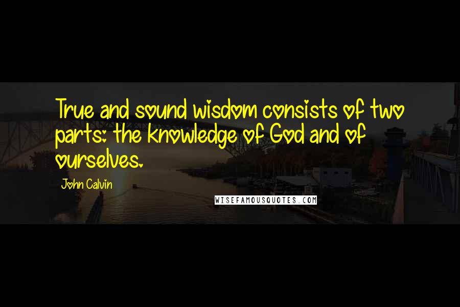 John Calvin Quotes: True and sound wisdom consists of two parts: the knowledge of God and of ourselves.