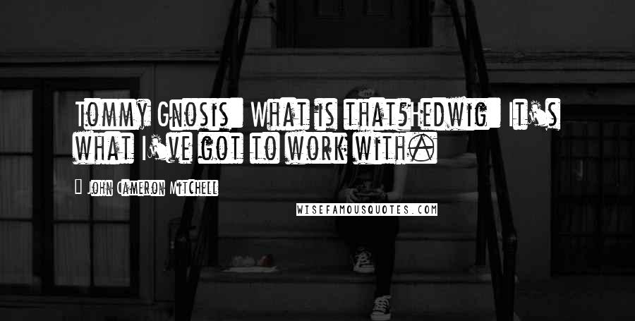 John Cameron Mitchell Quotes: Tommy Gnosis: What is that?Hedwig: It's what I've got to work with.