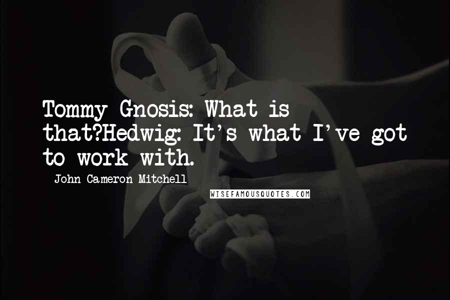 John Cameron Mitchell Quotes: Tommy Gnosis: What is that?Hedwig: It's what I've got to work with.