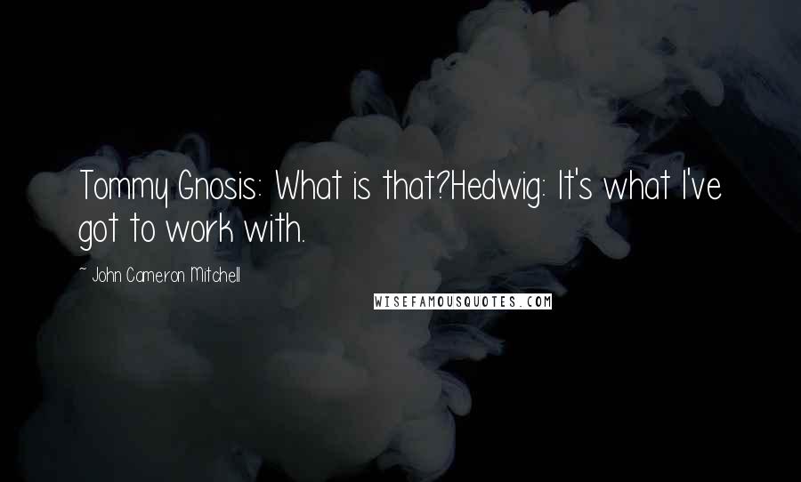 John Cameron Mitchell Quotes: Tommy Gnosis: What is that?Hedwig: It's what I've got to work with.