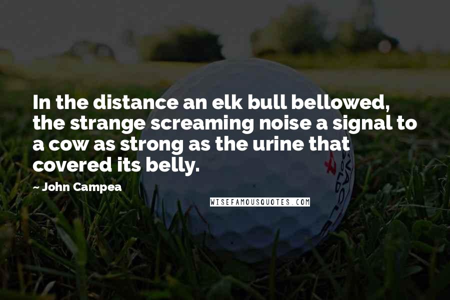 John Campea Quotes: In the distance an elk bull bellowed, the strange screaming noise a signal to a cow as strong as the urine that covered its belly.