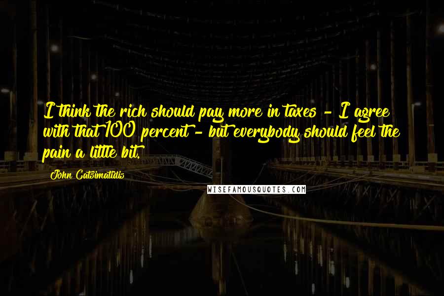 John Catsimatidis Quotes: I think the rich should pay more in taxes - I agree with that 100 percent - but everybody should feel the pain a little bit.