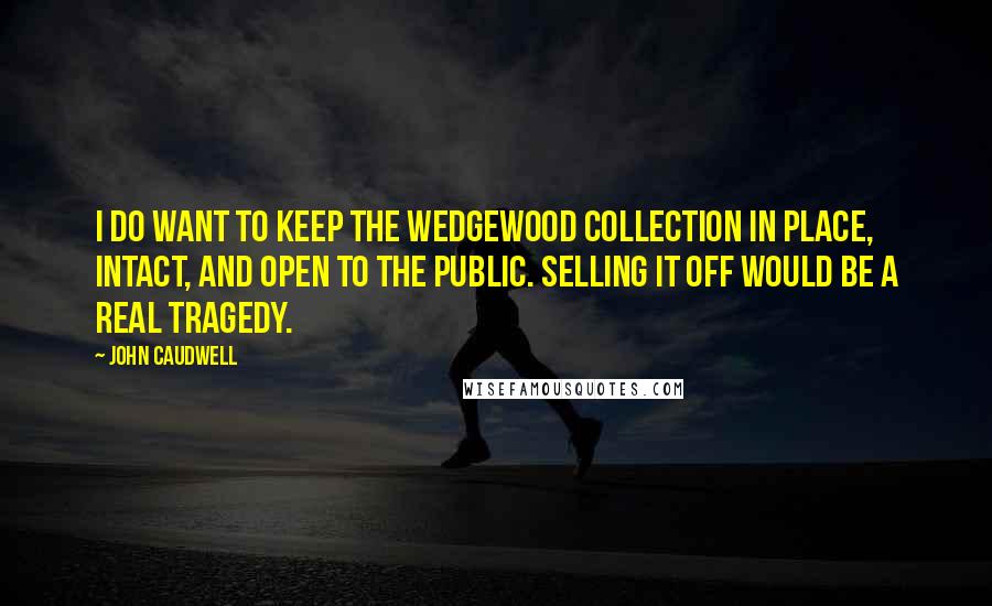 John Caudwell Quotes: I do want to keep the Wedgewood Collection in place, intact, and open to the public. Selling it off would be a real tragedy.