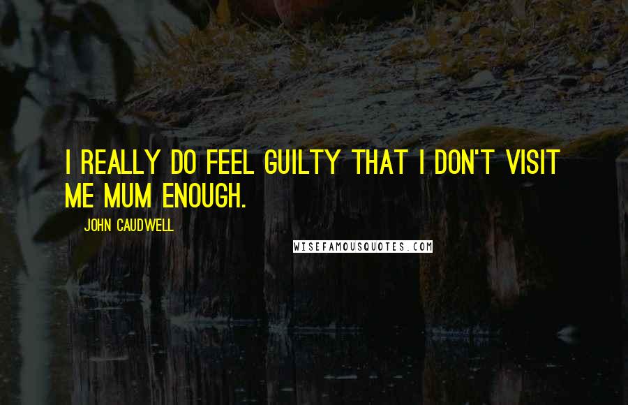 John Caudwell Quotes: I really do feel guilty that I don't visit me mum enough.