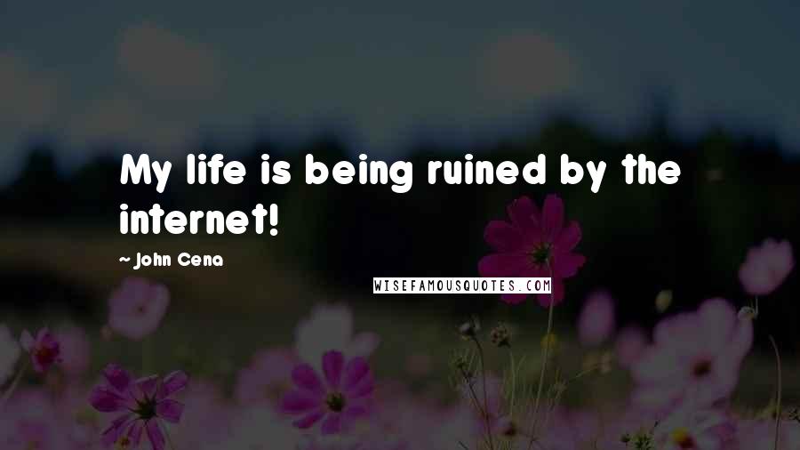 John Cena Quotes: My life is being ruined by the internet!