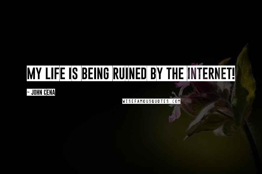 John Cena Quotes: My life is being ruined by the internet!