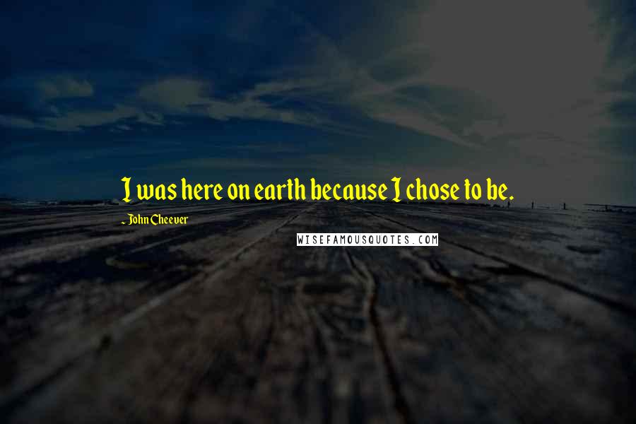 John Cheever Quotes: I was here on earth because I chose to be.