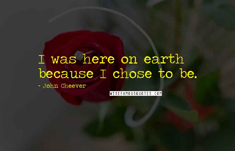 John Cheever Quotes: I was here on earth because I chose to be.