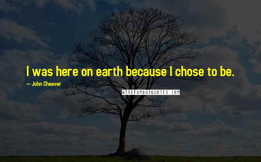 John Cheever Quotes: I was here on earth because I chose to be.