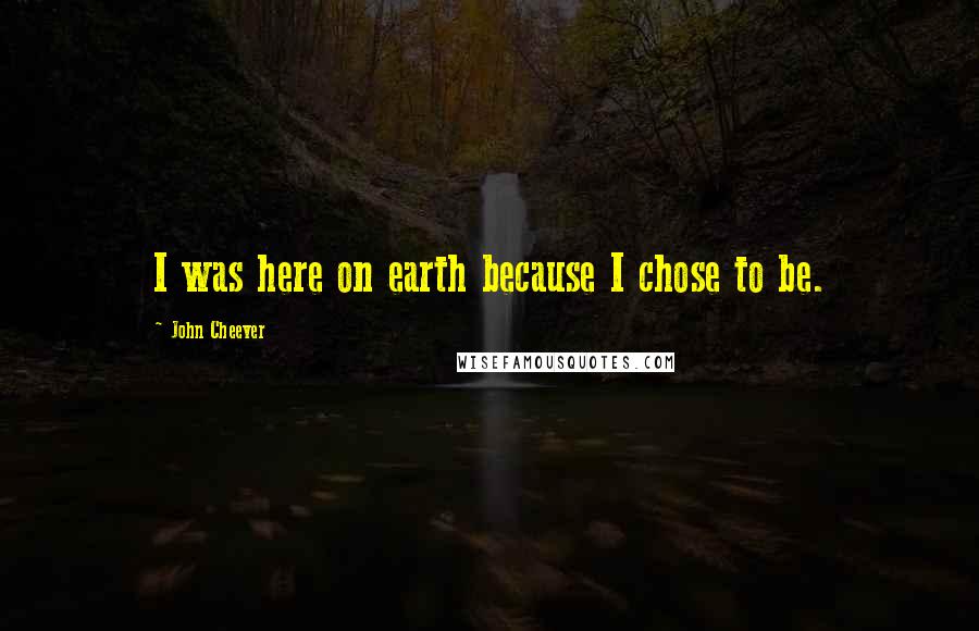 John Cheever Quotes: I was here on earth because I chose to be.