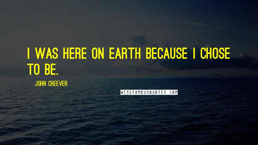 John Cheever Quotes: I was here on earth because I chose to be.