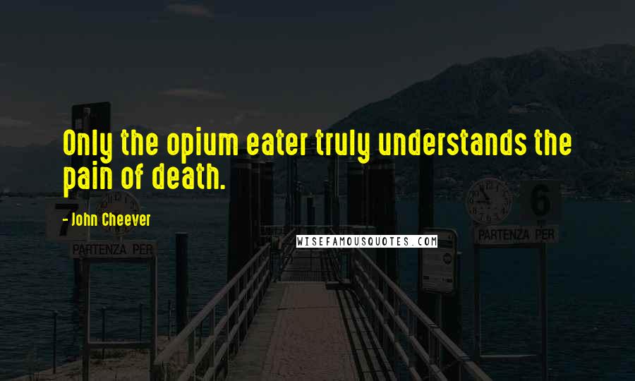 John Cheever Quotes: Only the opium eater truly understands the pain of death.