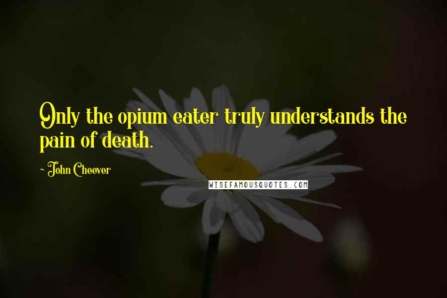 John Cheever Quotes: Only the opium eater truly understands the pain of death.