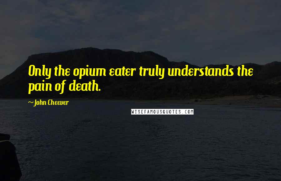 John Cheever Quotes: Only the opium eater truly understands the pain of death.