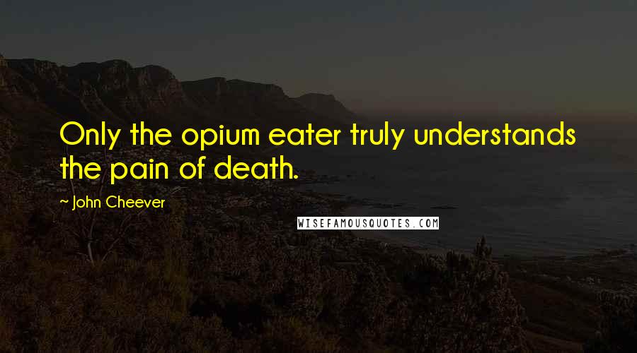 John Cheever Quotes: Only the opium eater truly understands the pain of death.
