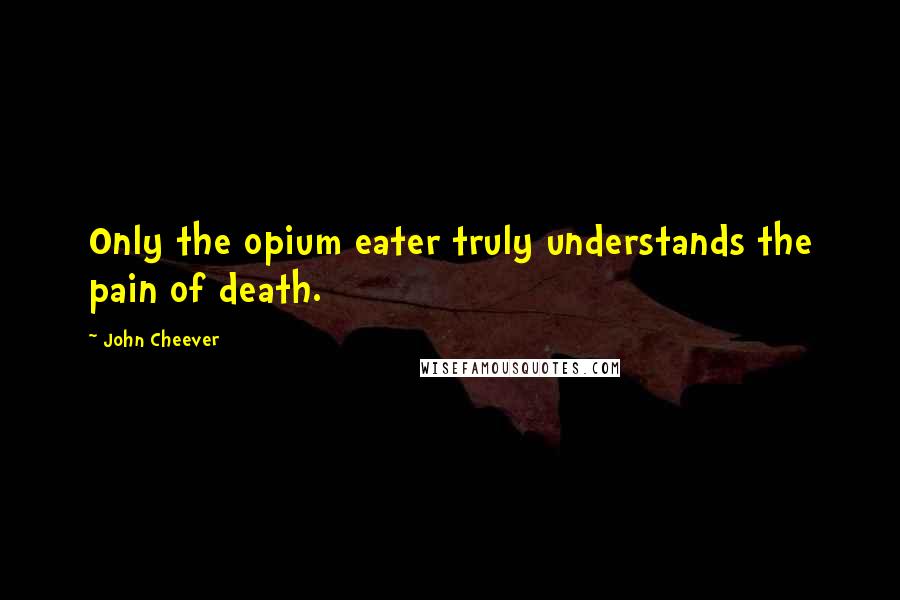 John Cheever Quotes: Only the opium eater truly understands the pain of death.