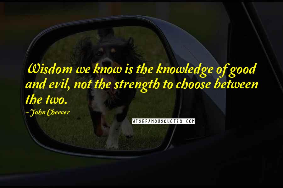John Cheever Quotes: Wisdom we know is the knowledge of good and evil, not the strength to choose between the two.