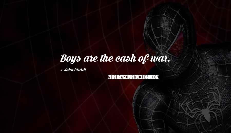 John Ciardi Quotes: Boys are the cash of war.