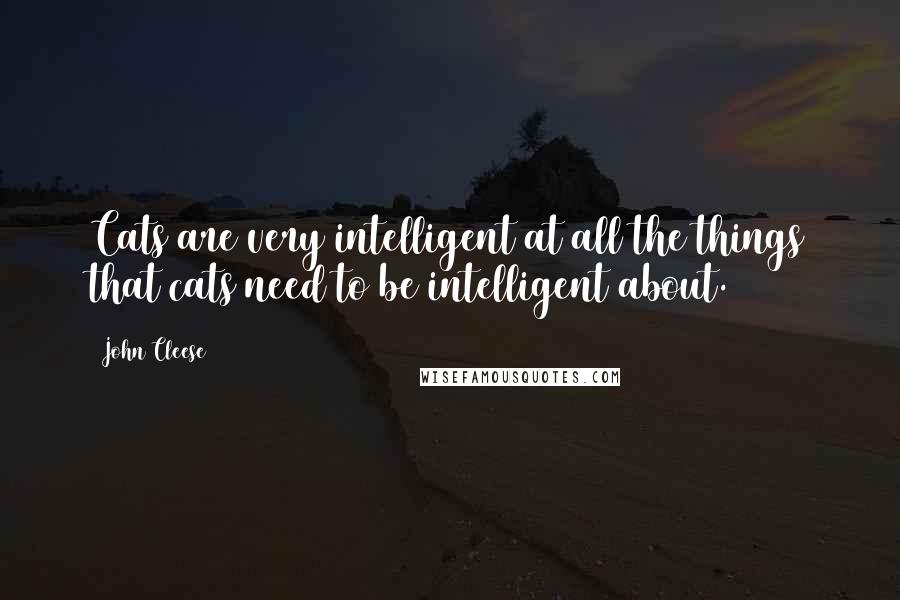 John Cleese Quotes: Cats are very intelligent at all the things that cats need to be intelligent about.