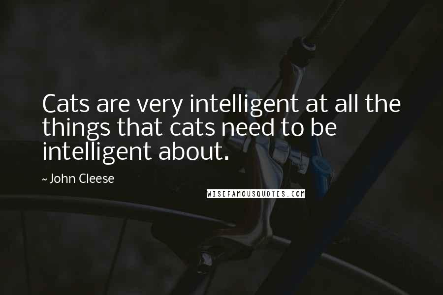 John Cleese Quotes: Cats are very intelligent at all the things that cats need to be intelligent about.