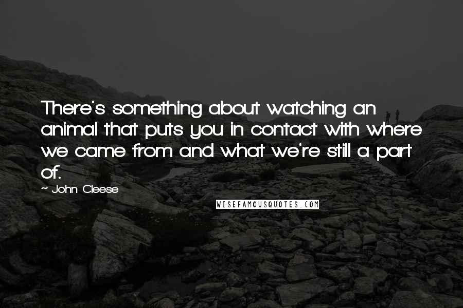 John Cleese Quotes: There's something about watching an animal that puts you in contact with where we came from and what we're still a part of.