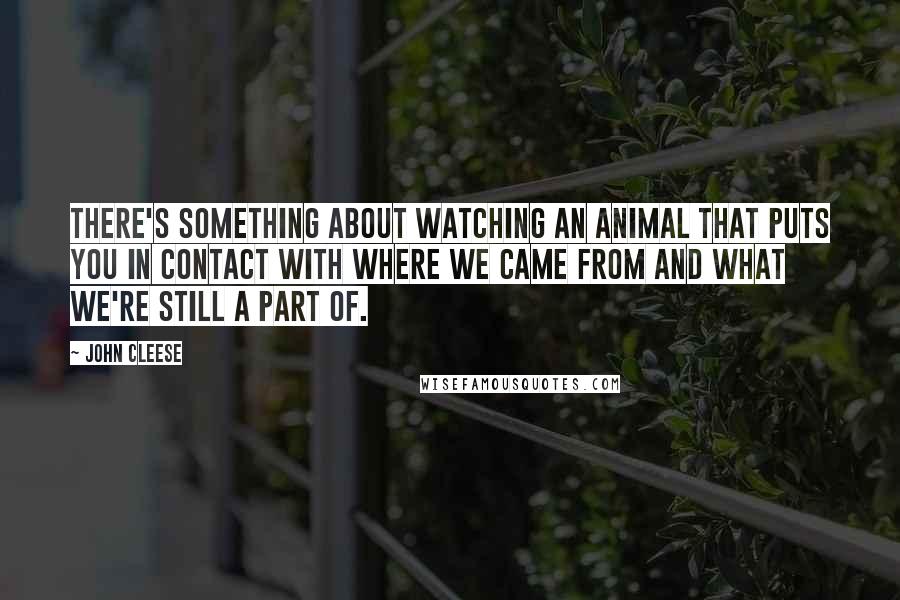 John Cleese Quotes: There's something about watching an animal that puts you in contact with where we came from and what we're still a part of.