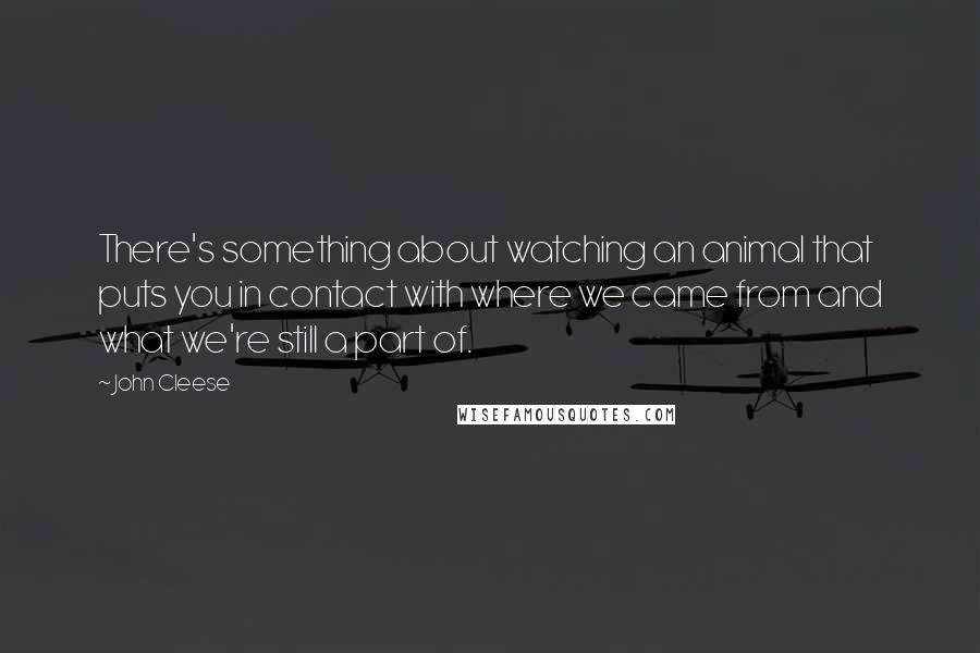 John Cleese Quotes: There's something about watching an animal that puts you in contact with where we came from and what we're still a part of.