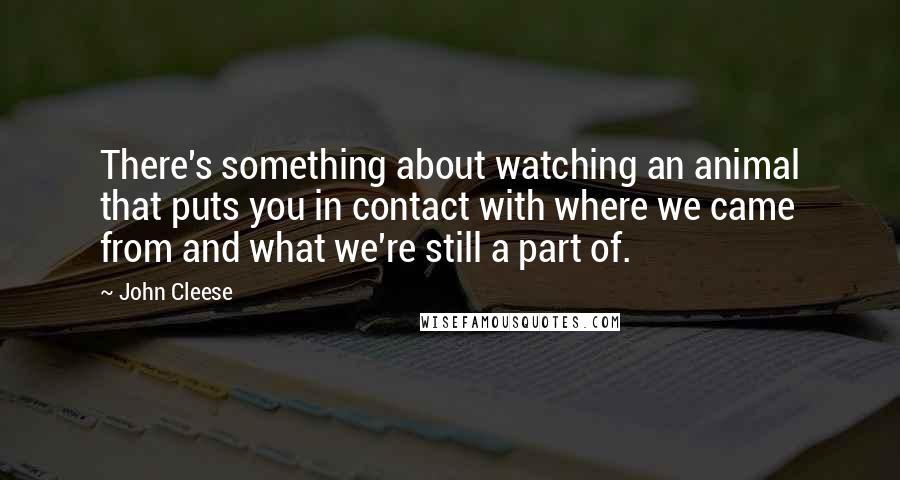 John Cleese Quotes: There's something about watching an animal that puts you in contact with where we came from and what we're still a part of.