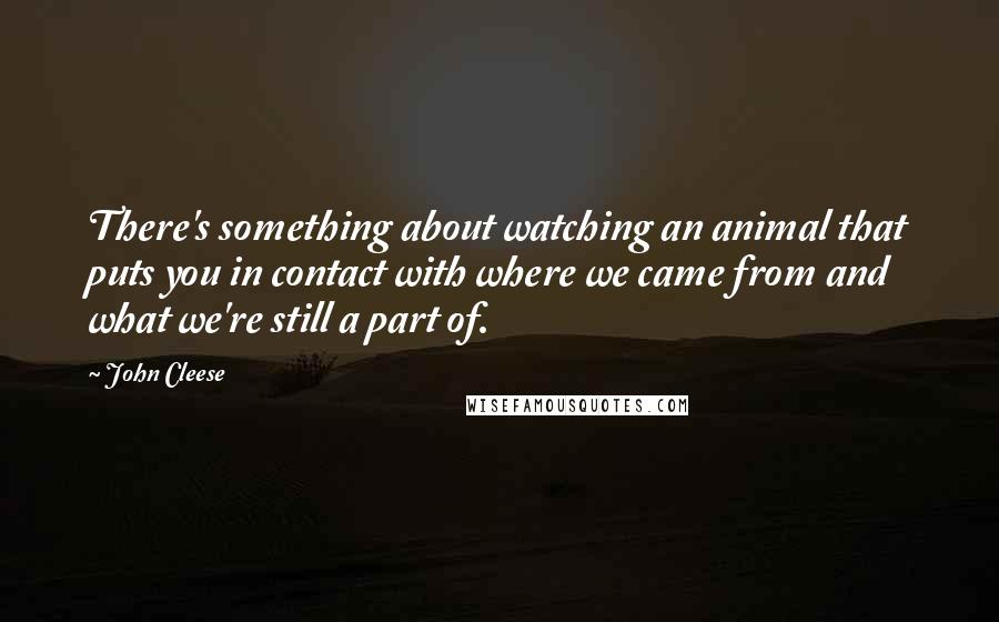 John Cleese Quotes: There's something about watching an animal that puts you in contact with where we came from and what we're still a part of.