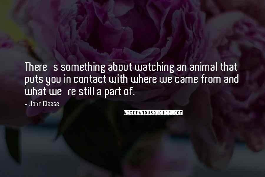 John Cleese Quotes: There's something about watching an animal that puts you in contact with where we came from and what we're still a part of.