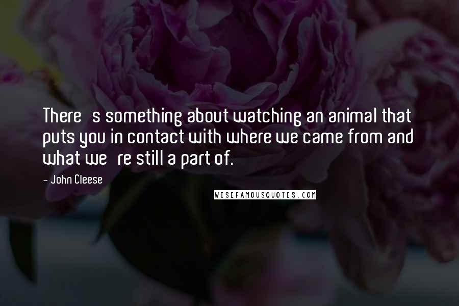 John Cleese Quotes: There's something about watching an animal that puts you in contact with where we came from and what we're still a part of.